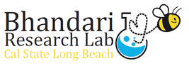 Bhandari Lab